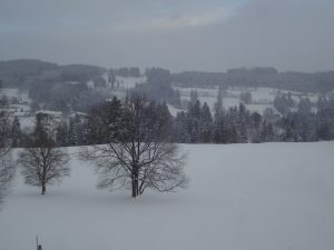 blick-koe-ebene-winter
